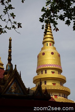 [IMG_32236.jpg]