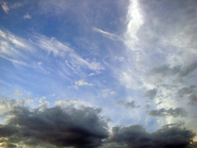 [DSC01429_ed2[19].jpg]