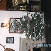 BILD0191.JPG