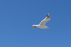 Oregon, Glory of The Northwest Slideshow