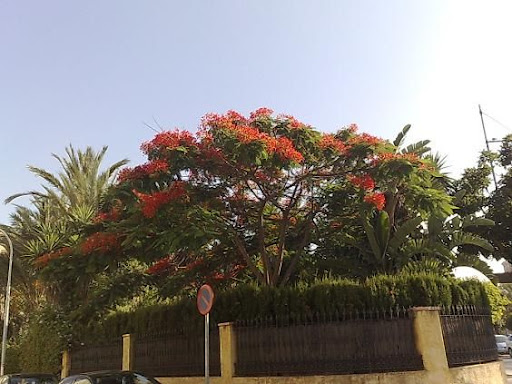 190720102423.jpg