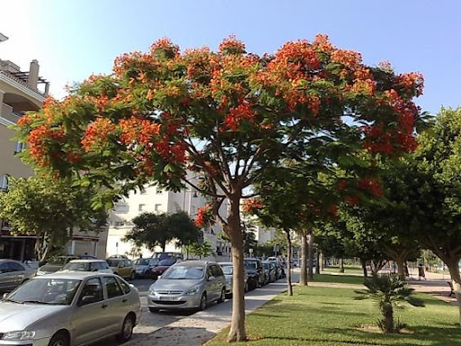 190720102428.jpg