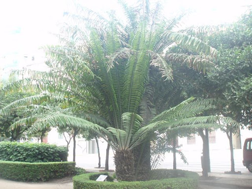 P1010989.JPG