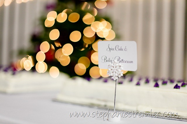 [LyndenWeddingPhotographer12-19-09Ben&Missy-125[2].jpg]