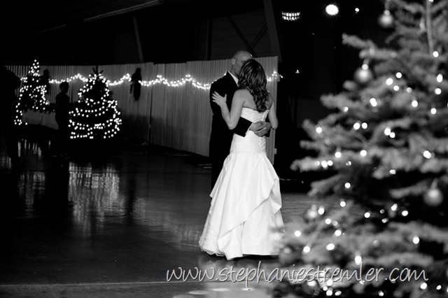 [LyndenWeddingPhotographer12-19-09Ben&Missy-130[2].jpg]