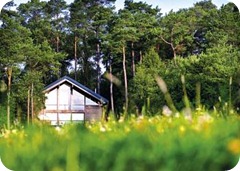 Log Cabin Holidays Whitby
