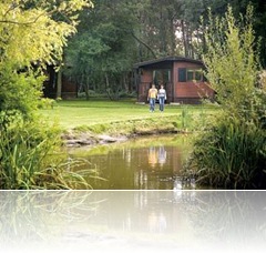 Holidays in Log Cabin