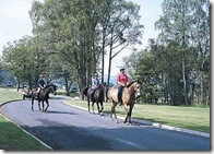 Activities to Enjoy