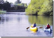 Plenty of Fun for Families