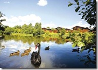 Holiday Lodges with Hot Tubs