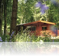 Romantic Lodge Breaks