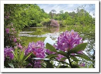 Beautiful Park Location