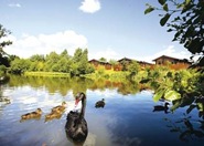 Peace, Quiet and Tranquility