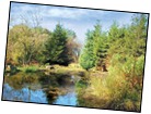Stunning Countryside Locations