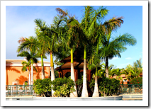 Enjoy the Sunshine in Relaxing Villas