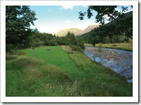 Deep in the Heart of the Countryside