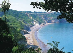 Stunning Coastlines to Enjoy