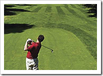 Perhaps a Round of Golf