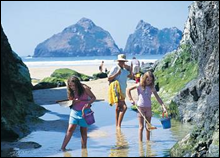 Explore the Stunning Coastline