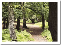 Relax in the Stunning Surroundings