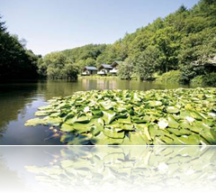 Romantic Short Breaks in Cornwall Romantic Short Breaks in Cornwall