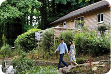 Stunning Lodge Locations Throughout North and South Cornwall
