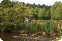 Stunning Locations to Bring the Kids