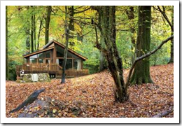 Log Cabin Weekend Breaks in the Forest of Dean Log Cabin Weekend Breaks in the Forest of Dean