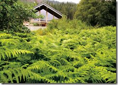 Lodges within Stunning Forest and Countryside Settings