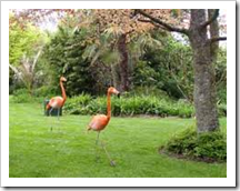 Discover the Wildlife on Your Holiday in Cornwall