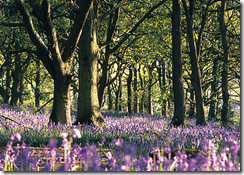 Stay in the Heart of the Yorkshire Dales Countryside
