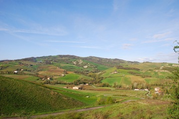 1 1