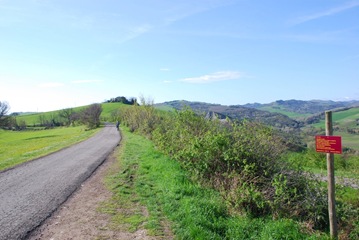 3 3