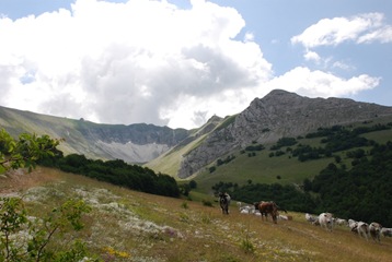10-V.di Bove 10-V.di Bove