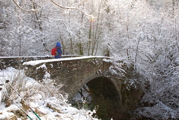 Ponte sul Bidente Ponte sul Bidente