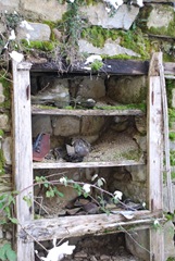 scarpiera scarpiera