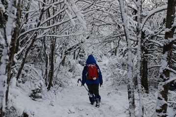 verso Siepe dell'Orso verso Siepe dell'Orso