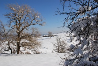 panorama panorama