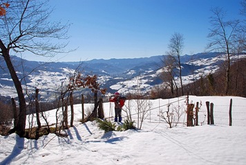 cancello cancello