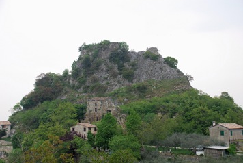 Pietracuta Pietracuta