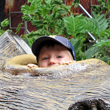 IMG_1923.JPG