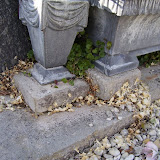 100_4101.JPG