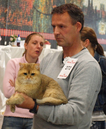 золото