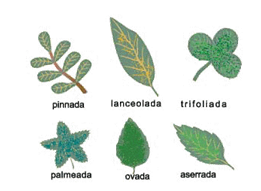 [image5[3].png]