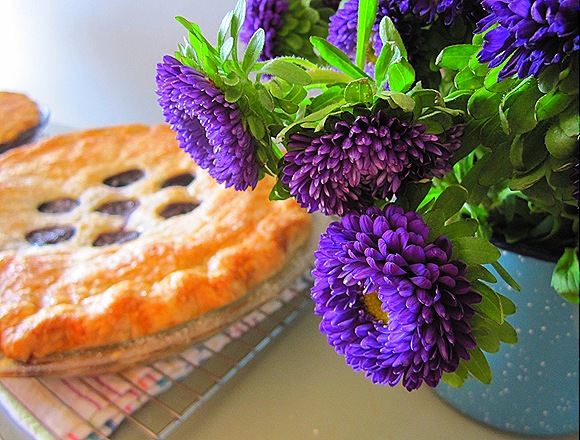 Blueberry Pies