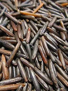 Wild Rice