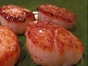 Pan-Seared Scallops