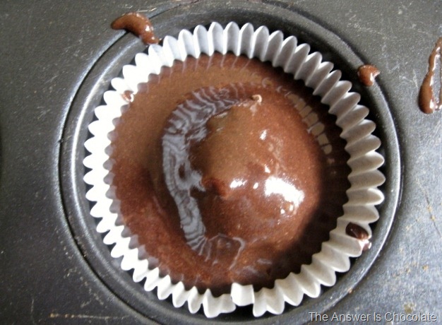 [Brownie Cupcake Covered[7].jpg]