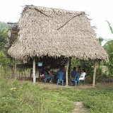 12-3 163.jpg