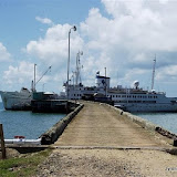 DSC_0150.JPG